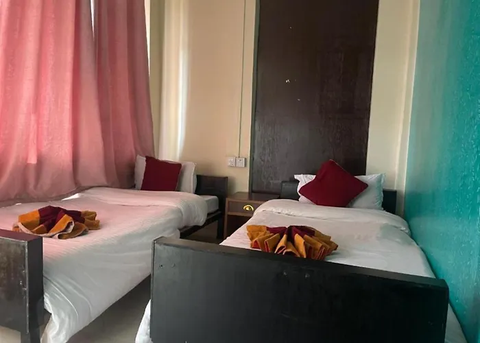 The Hotel *